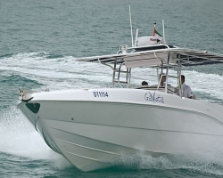 gaviota-6