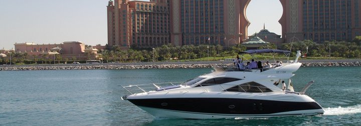 sunseeker spot light image